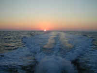 P6270552.JPG (135624 bytes)