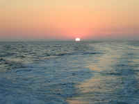 P6270555.JPG (137056 bytes)