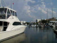 P6280597.JPG (138661 bytes)