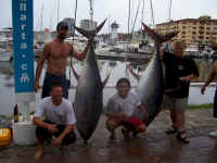 Tony's 323 & 239 pounder 3.jpg (206123 bytes)