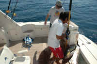 tuna 031.jpg (1456158 bytes)