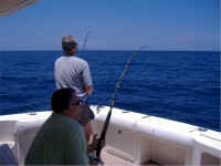 Full Camera Download 022.jpg (368921 bytes)