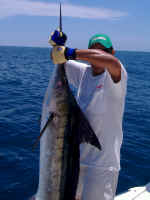 Full Camera Download 030.jpg (409456 bytes)