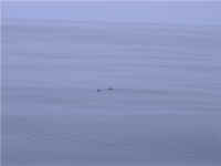 Full Camera Download 062.jpg (140195 bytes)