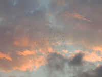 P1250876.JPG (367333 bytes)