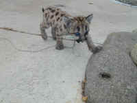 P1260886.JPG (372517 bytes)