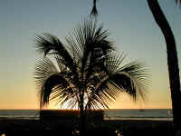 P1270896.JPG (369721 bytes)