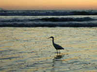 P1270934.JPG (361063 bytes)