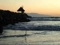 P1270936.JPG (348060 bytes)