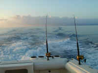 P6121024.JPG (362895 bytes)