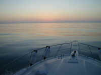 P6121095.JPG (348757 bytes)