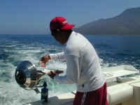 P6141108.JPG (366557 bytes)